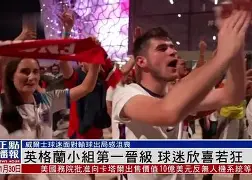 关于瑞典客场逼平克罗地亚,小组晋级形势艰难的信息