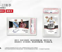 Crowns Sports-勒沃库森足球俱乐部现役球员名单